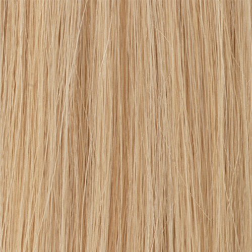 European BL9 - Light Golden Blonde