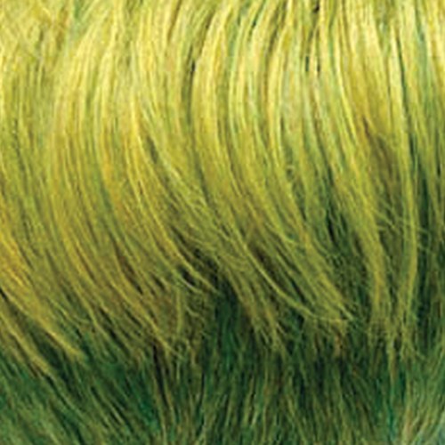 Lime - Yellow blended with Green Top and a Dark Green Nape