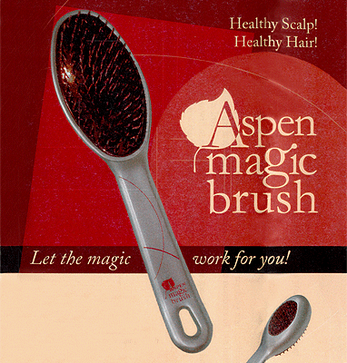 Brush - Aspen Magic, By Accessories