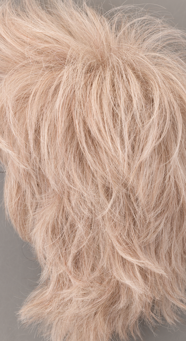 Frozen Mulberry - Platinum Blonde blended with very light Ash Brown