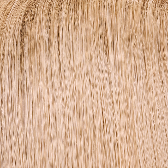 22MB - HH Poppy Seed - Lt Ash Blonde & Lt Natural Gold Blonde Blend 