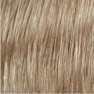 14/25  Ginger Snap - Very Light Brown with Natural Blonde Highlights