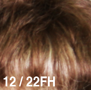 12/22FH  Light Ash Brown with Blond Highlights