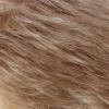R14/26H - Dirty Blond with Golden Blond Highlights