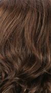  R6LF29  - Deep Chestnut Brown with a Light Auburn Frosted Highlight