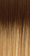 24/102/R12 - Golden Blond HL with Light Brown Blonde Roots 
